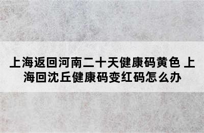 上海返回河南二十天健康码黄色 上海回沈丘健康码变红码怎么办